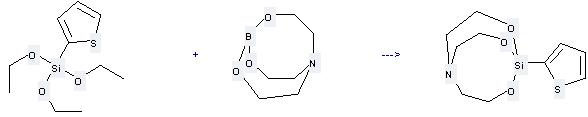 Boron,[[2,2',2''-(nitrilo-kN)tris[ethanolato-kO]](3-)]-, (T-4)- can be used to produce 1-thiophen-2-yl-2,8,9-trioxa-5-aza-1-sila-bicyclo[3.3.3]undecane at the temperature of 140 °C